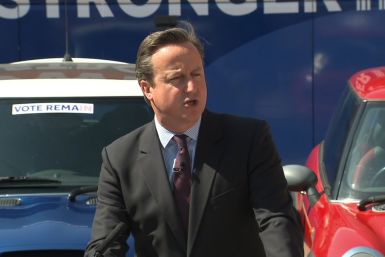 David Cameron attacks the Leave campaign