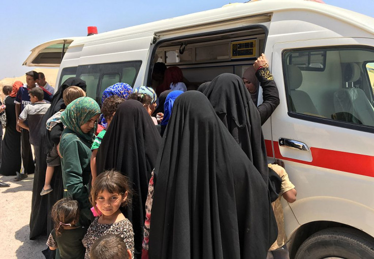 Thousands of refugee have fled the fightingFallujah