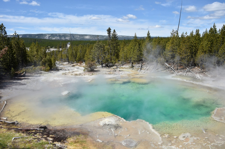 yellowstone national park