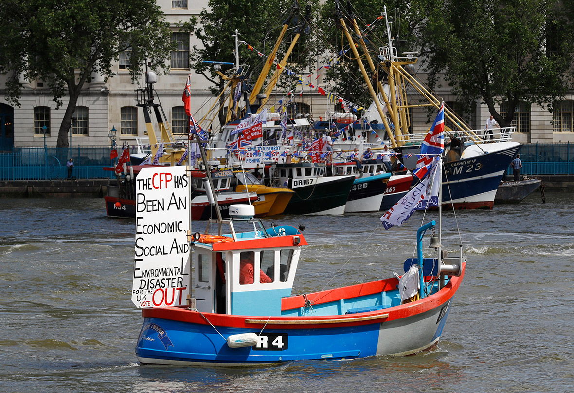 Vote Leave flotilla Thames