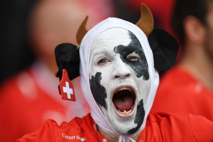 A Swiss fan in the stands