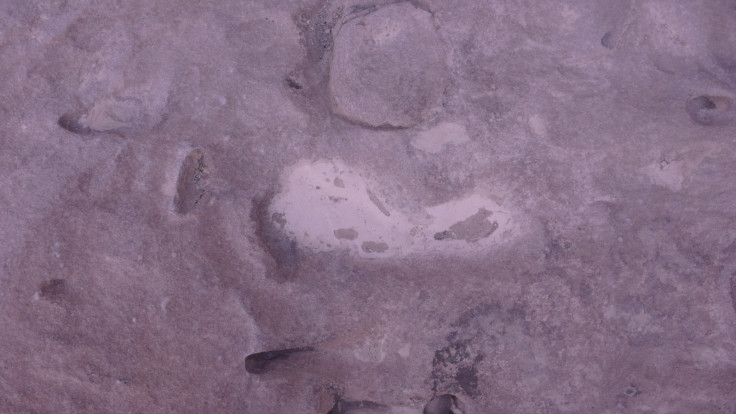 footprints Danakil desert