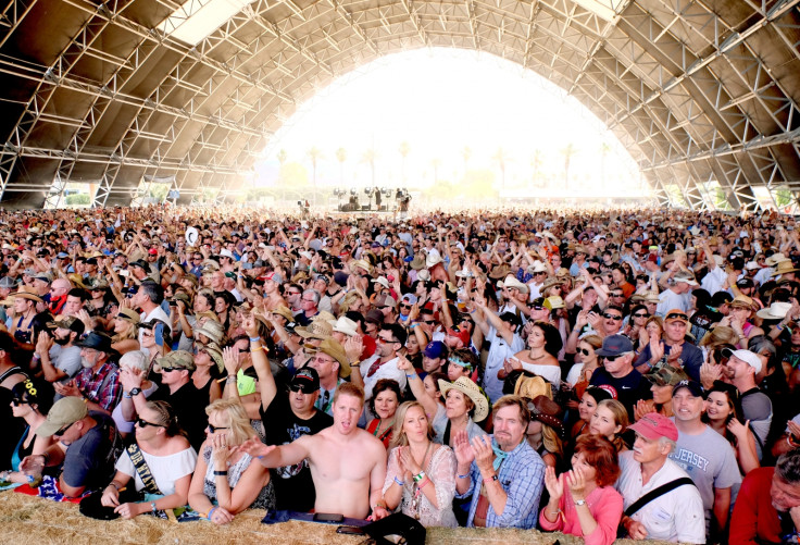 Music festival crowd