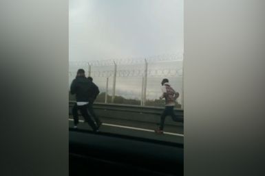 Smartphone footage catches clashes between police and migrants at Calais