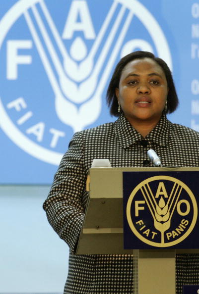 Angela Thoko Didiza Angela Thoko Didiza