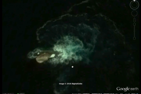 Mysterious sea monster Google Earth