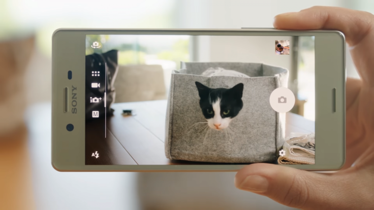 Sony Xperia X review camera cat
