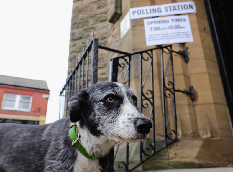 EU referendum dog polling station