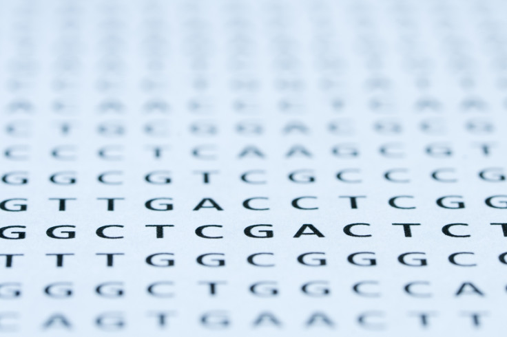 Huntington's disease nucleotide