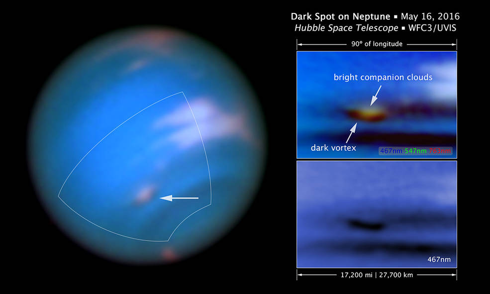 Hubble spots huge dark vortex on Neptune for the first time in 21st century