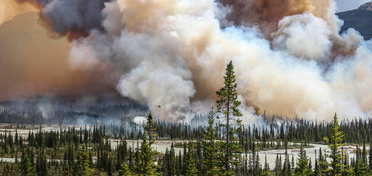 Environmental Photographer of the Year 2016