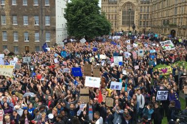 Brexit protest outside parliament