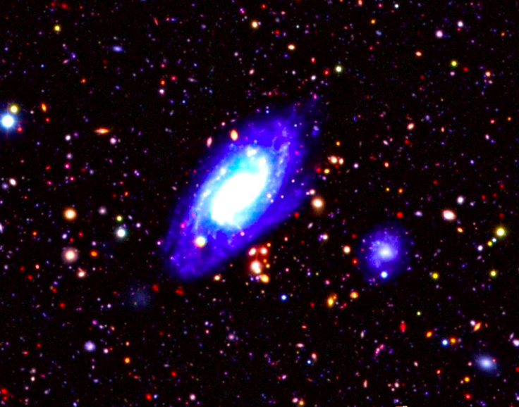 Galaxies of the distant universe