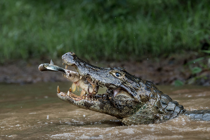 National Geographic Travel Photographer of the Year Contest