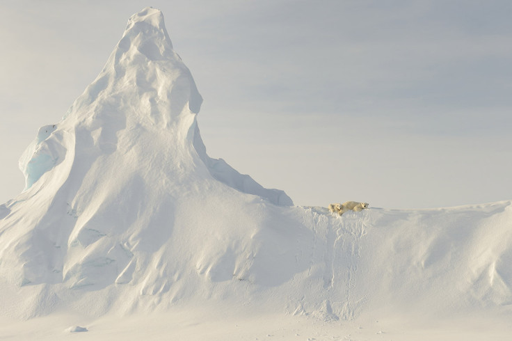 National Geographic Travel Photographer of the Year Contest