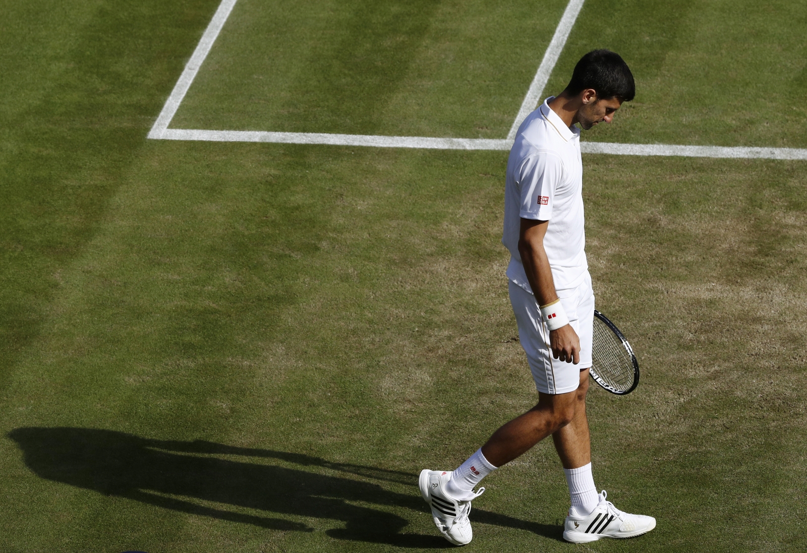 Wimbledon 2016: Novak Djokovic Shocked By Big-serving Sam Querrey At ...