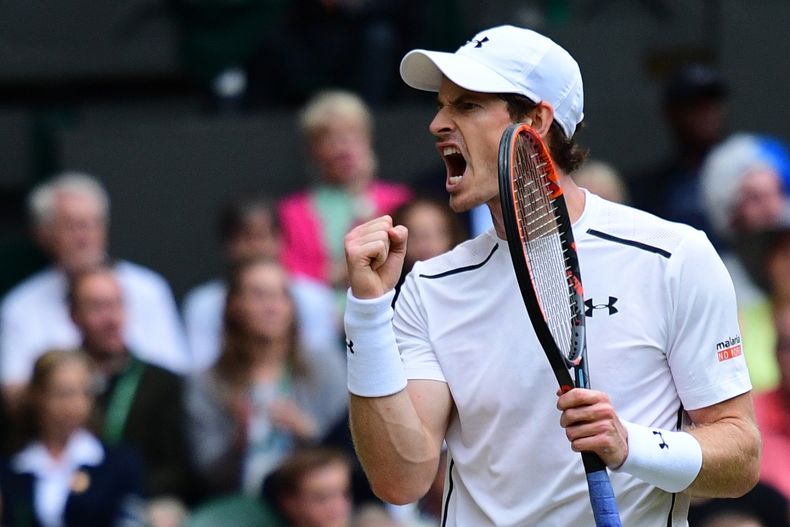andy murray - photo #25
