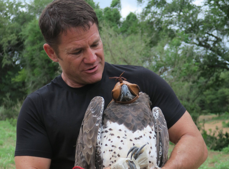 Steve Backshall with a Martial Eagle