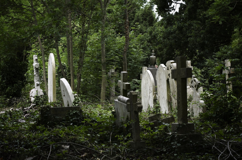 graveyard creepy spooky