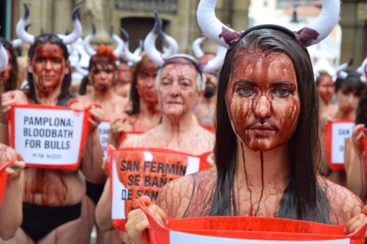 Animal rights activists in Pamplona