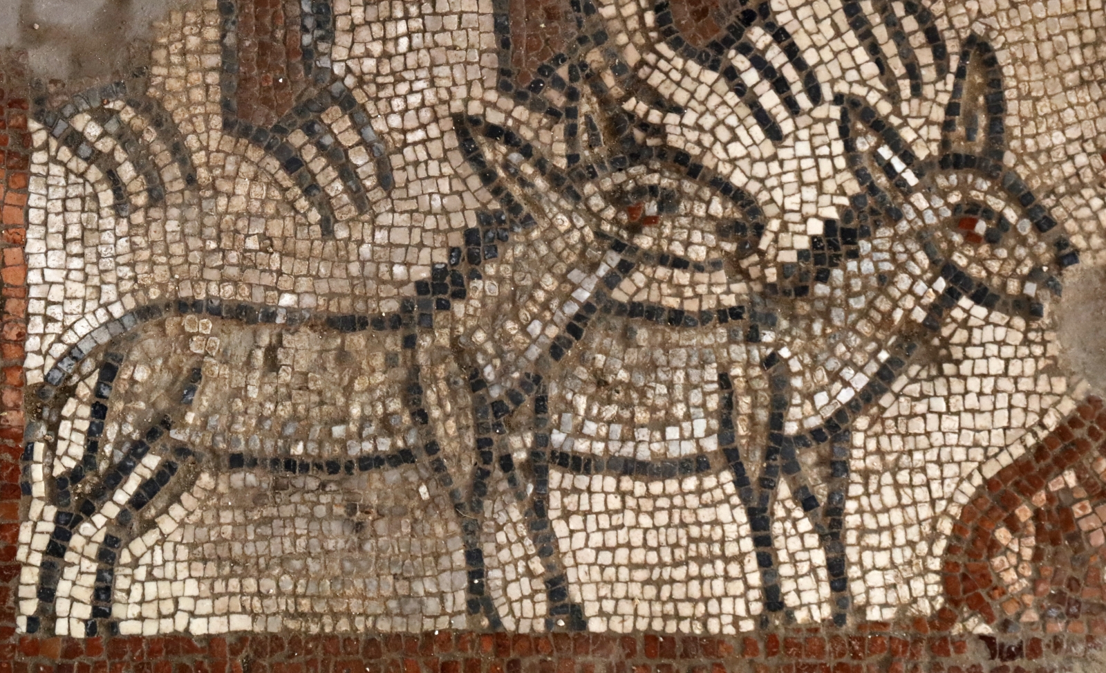 Rare biblical mosaics discovered in 5th century synagogue excavations