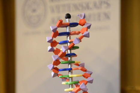 Sweden: National DNA database could soon be released to law enforcement and private companies
