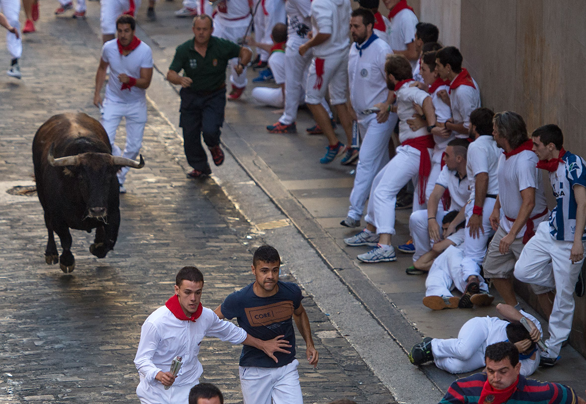 Pamplona running bulls 2016