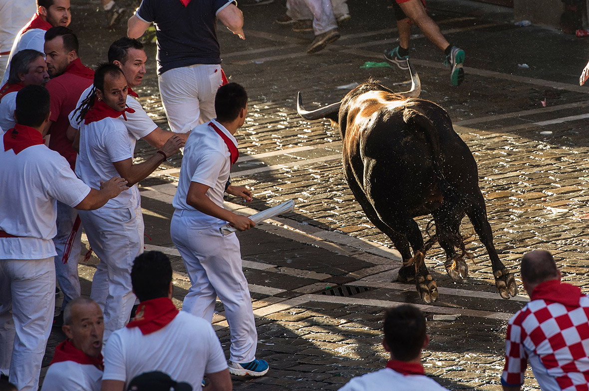 Pamplona running bulls 2016