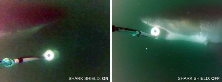 Shark Shield