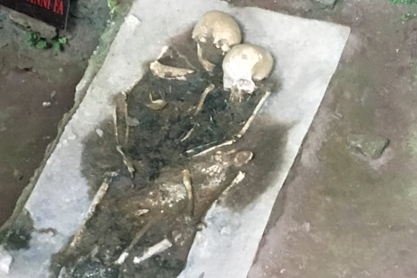Grotta del Romito skull