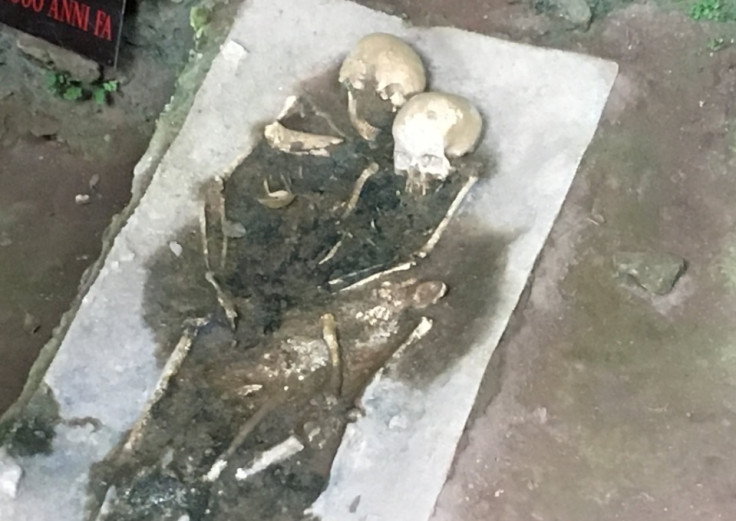 Grotta del Romito skull