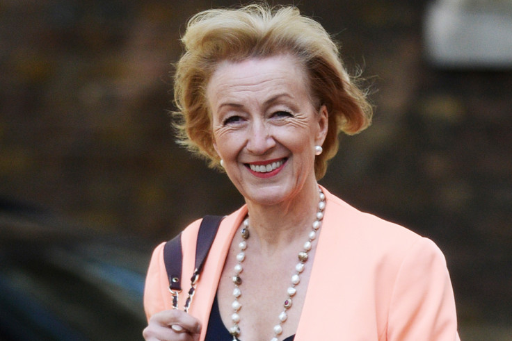 Cabinet: Andrea Leadsom