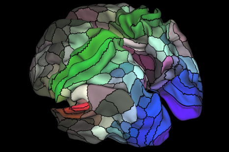 brain map structure