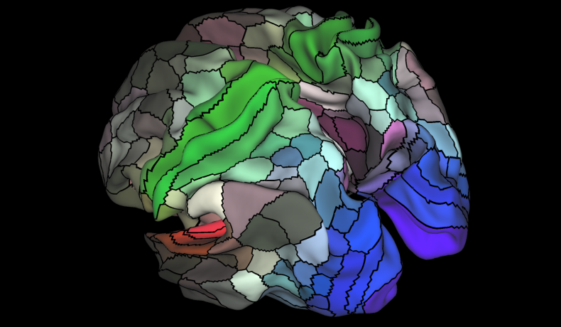 brain map structure