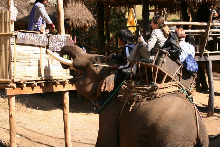 An elephant carrying tourists