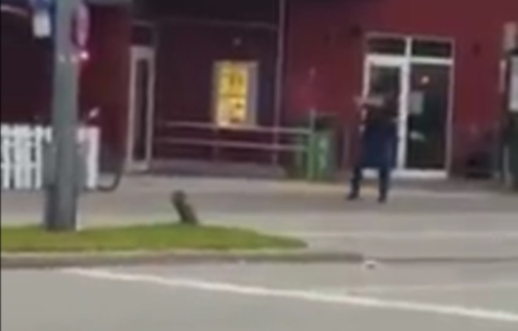 Munich shooting: First video emerges of McDonald's gunman who screamed ...