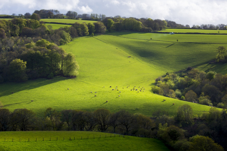 Exmoor National Park