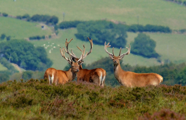 National Parks Week 2016