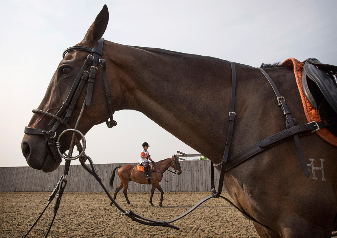 China polo