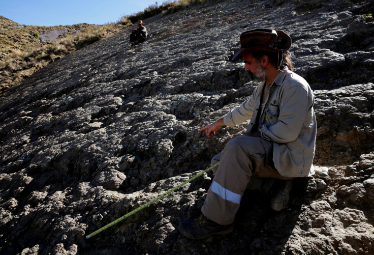 Bolivian dinosaur footprint