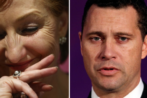 Suzanne Evans and Steven Woolfe