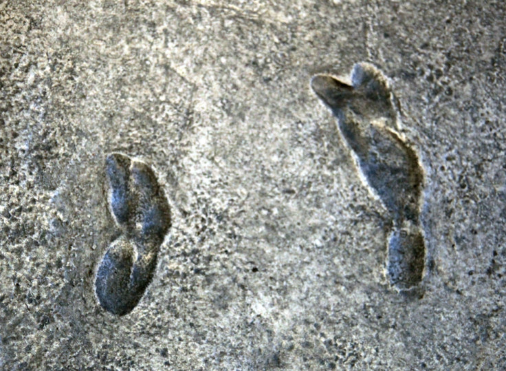 Laetolit footprints gait