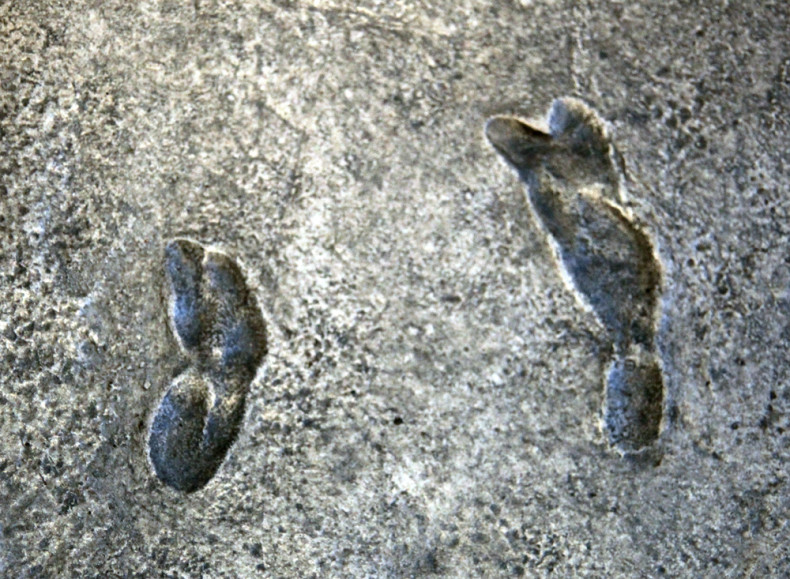 Laetolit footprints gait