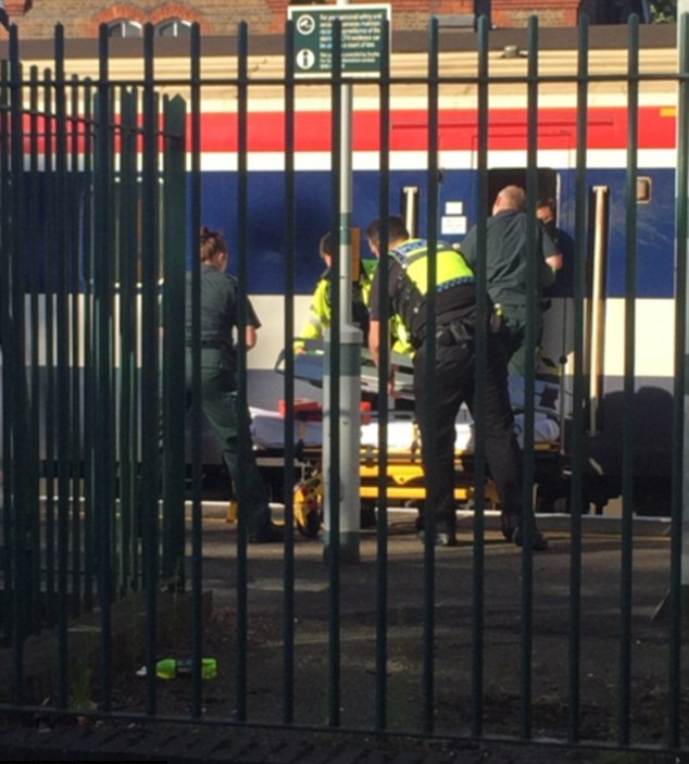 Man decapitated by speeding train Man decapitated by speeding train