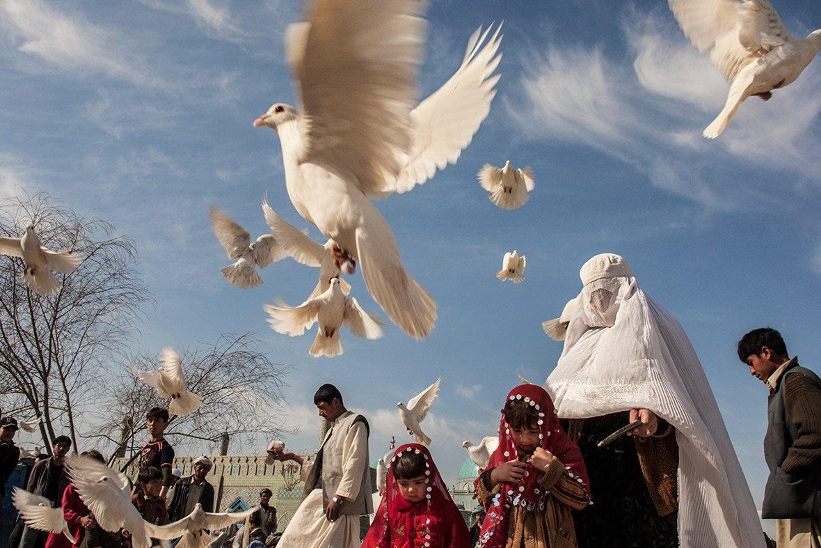 Paula Bronstein Afghanistan