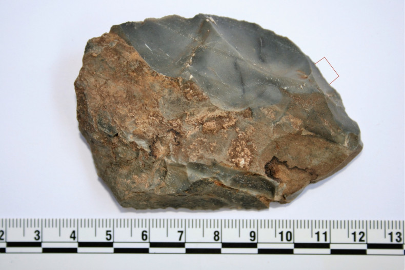 hominin early human stone tools