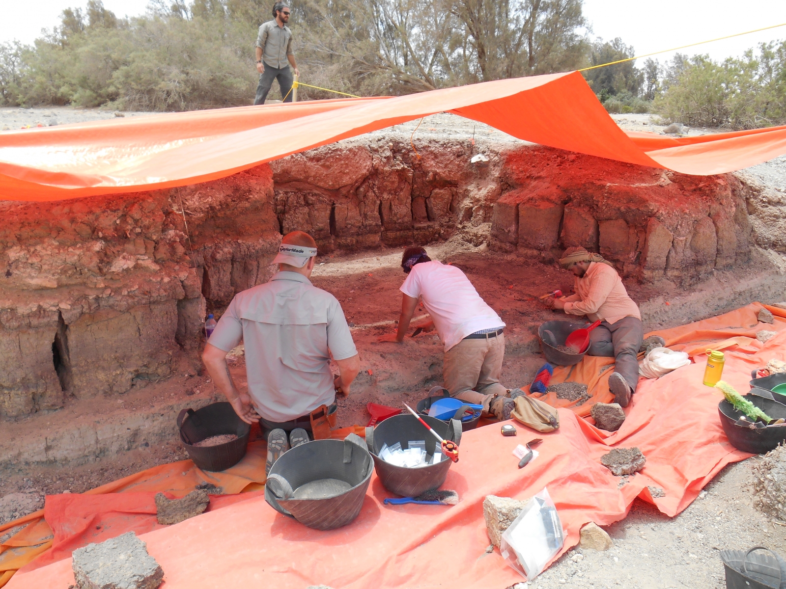 jordan-human-ancestors-butchered-rhinos-and-horses-with-stone-tools