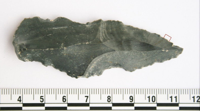 early human hominin stone tool