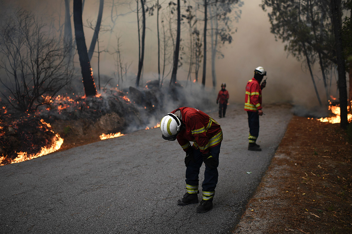 Northern Portugal fire