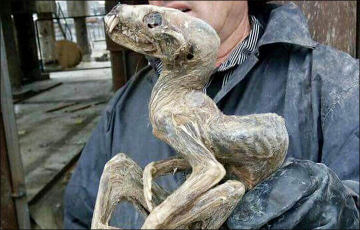 Siberia mummified monster